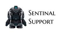 sentinalsupport.co.za